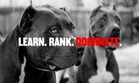 Dominate With SEO image 3
